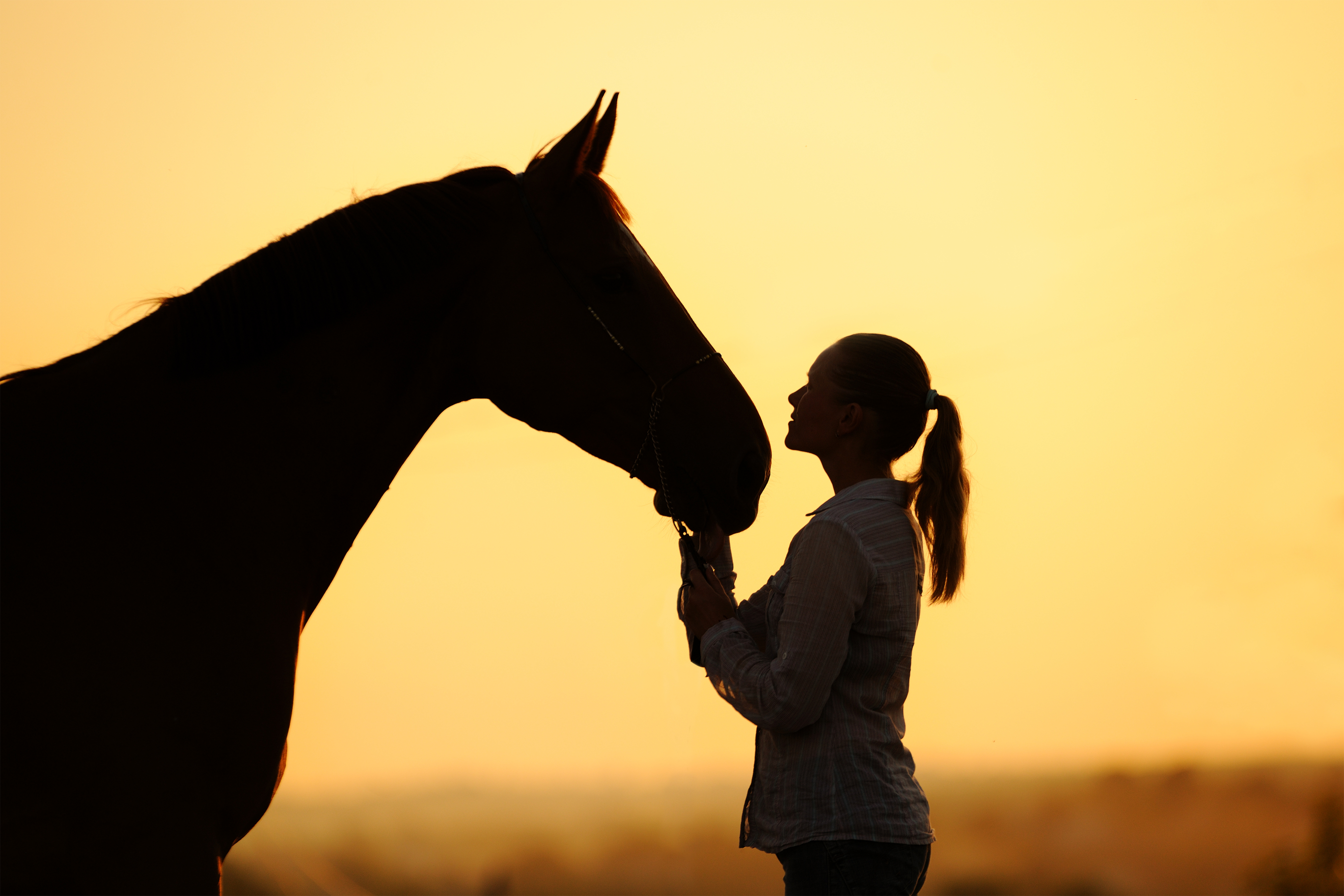 A woman looking at her horse at sunset